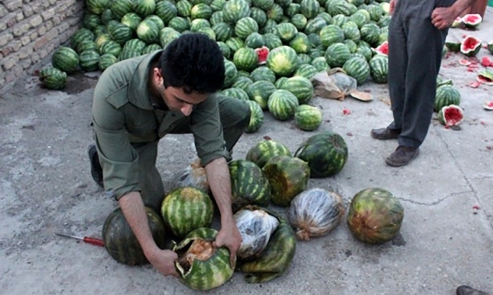 هندوانه به شرط تریاک ؛ روش جدید برای قاچاق مواد مخدر